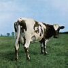 Pink Floyd’s Atom Heart Mother by Hipgnosis